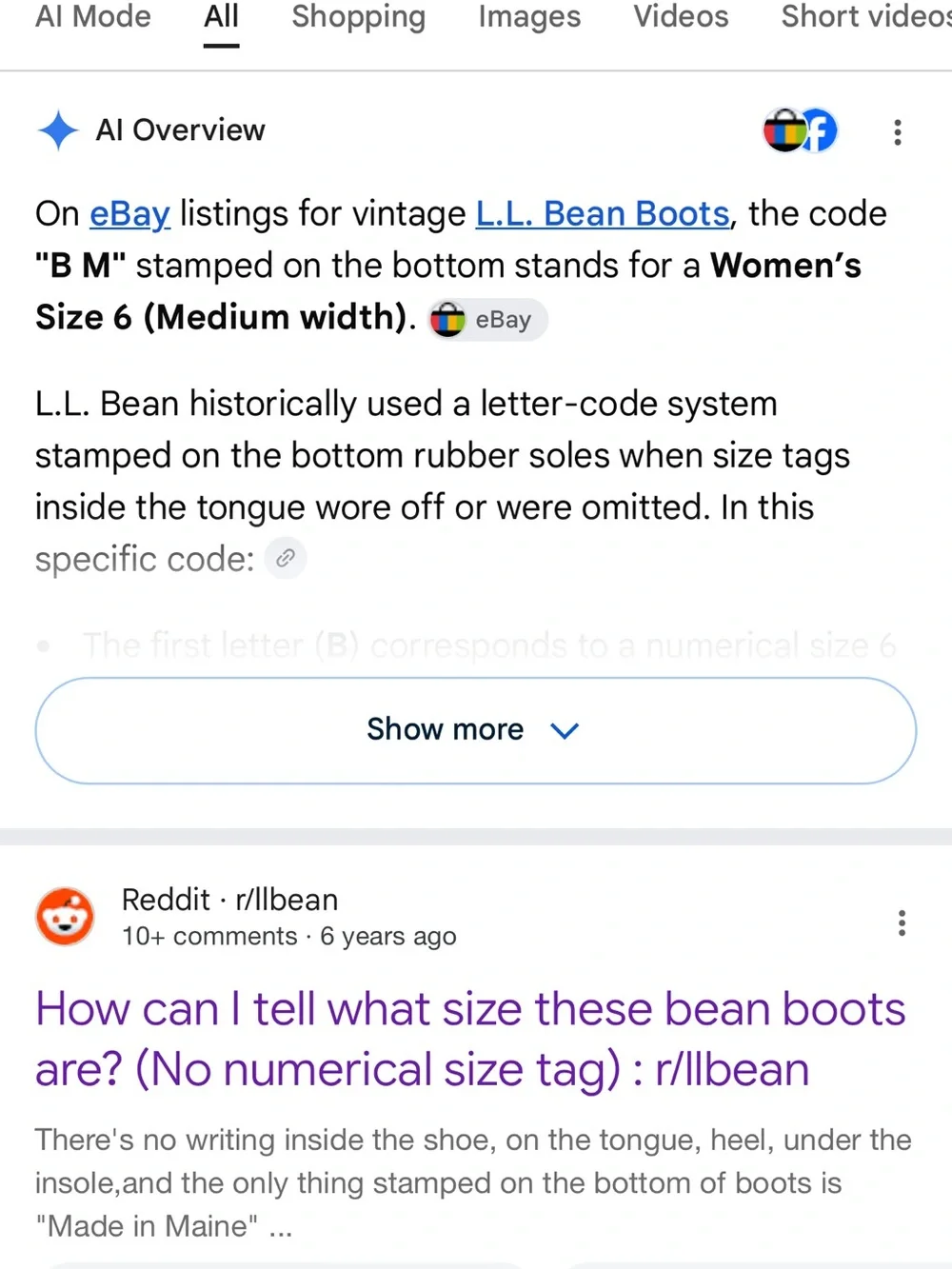 Women’s L.L. Bean Duck Boots in Brown and Navy